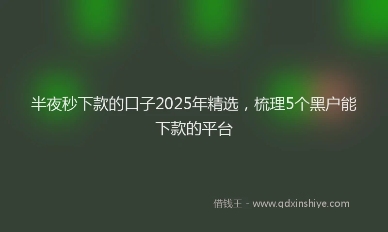 半夜秒下款的口子2025年精选，梳理5个黑户能下款的平台