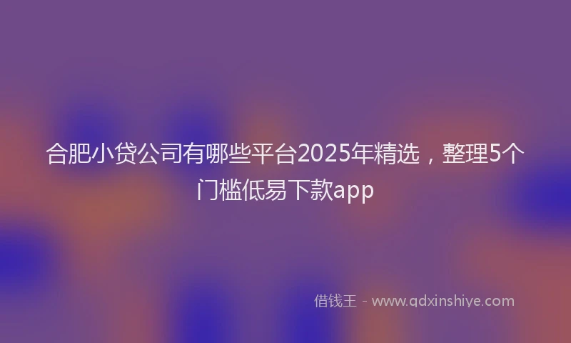 合肥小贷公司有哪些平台2025年精选，整理5个门槛低易下款app