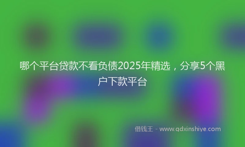 哪个平台贷款不看负债2025年精选，分享5个黑户下款平台