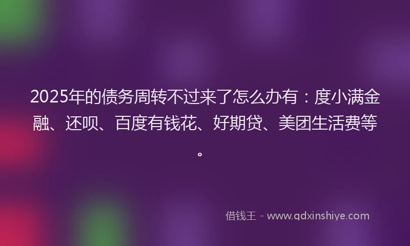 2025年的债务周转不过来了怎么办有：度小满金融、还呗、百度有钱花、好期贷、美团生活费等。