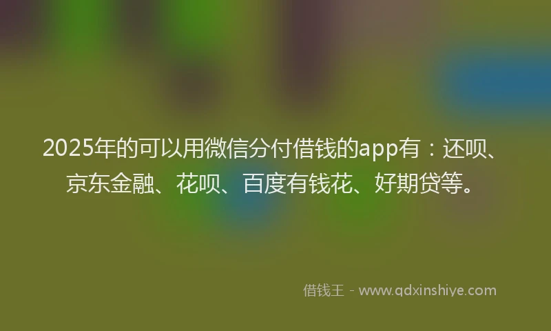 2025年的可以用微信分付借钱的app有：还呗、京东金融、花呗、百度有钱花、好期贷等。