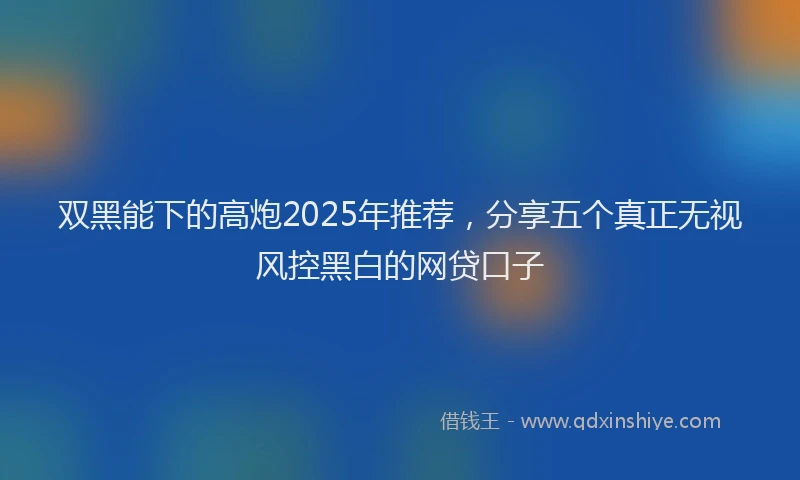 双黑能下的高炮2025年推荐，分享五个真正无视风控黑白的网贷口子