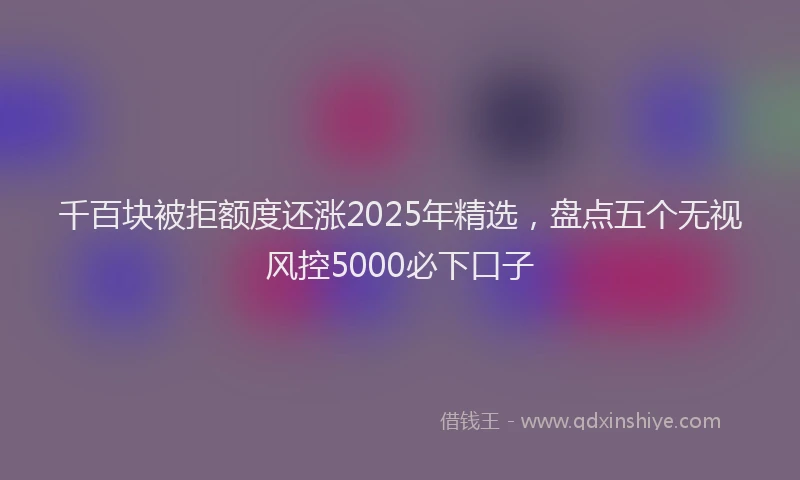千百块被拒额度还涨2025年精选，盘点五个无视风控5000必下口子