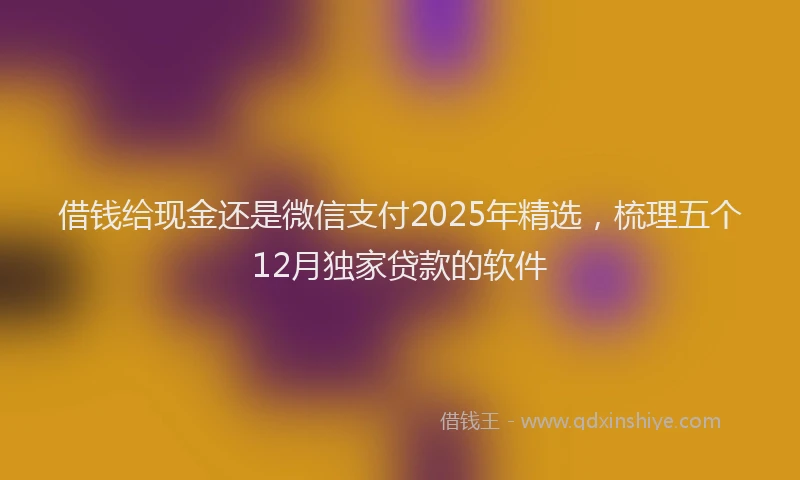 借钱给现金还是微信支付2025年精选，梳理五个12月独家贷款的软件