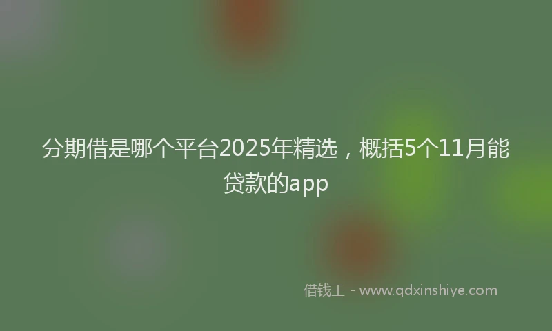 分期借是哪个平台2025年精选，概括5个11月能贷款的app