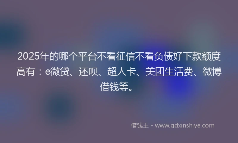 2025年的哪个平台不看征信不看负债好下款额度高有：e微贷、还呗、超人卡、美团生活费、微博借钱等。