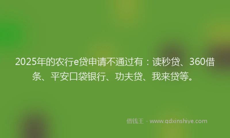 2025年的农行e贷申请不通过有：读秒贷、360借条、平安口袋银行、功夫贷、我来贷等。