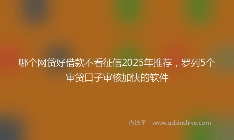 哪个网贷好借款不看征信2025年推荐，罗列5个审贷口子审核加快的软件