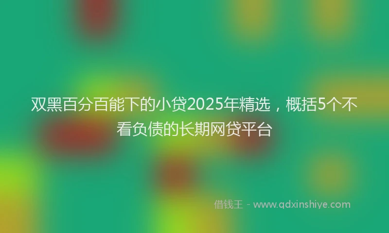 双黑百分百能下的小贷2025年精选，概括5个不看负债的长期网贷平台