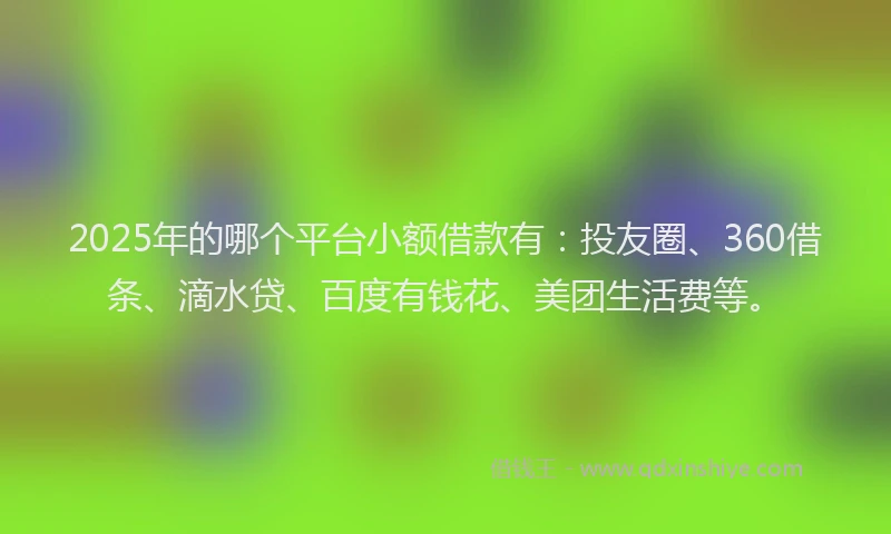 2025年的哪个平台小额借款有：投友圈、360借条、滴水贷、百度有钱花、美团生活费等。