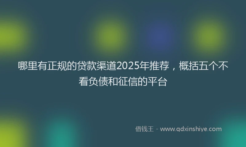 哪里有正规的贷款渠道2025年推荐，概括五个不看负债和征信的平台