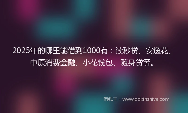 2025年的哪里能借到1000有：读秒贷、安逸花、中原消费金融、小花钱包、随身贷等。
