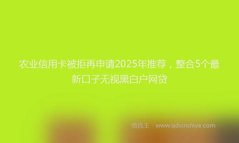 农业信用卡被拒再申请2025年推荐，整合5个最新口子无视黑白户网贷