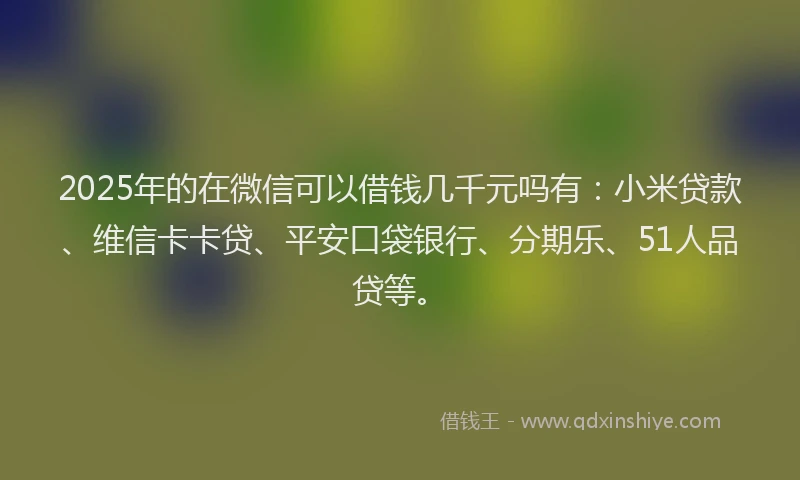 2025年的在微信可以借钱几千元吗有：小米贷款、维信卡卡贷、平安口袋银行、分期乐、51人品贷等。