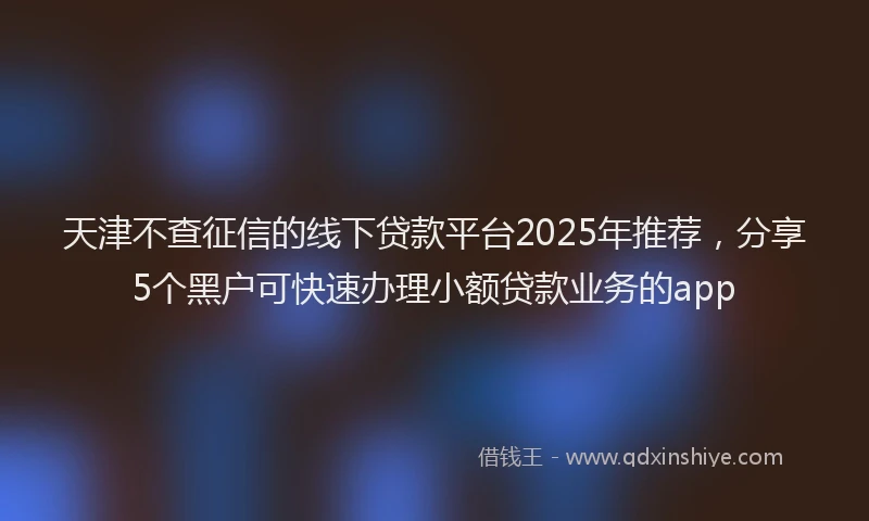 天津不查征信的线下贷款平台2025年推荐，分享5个黑户可快速办理小额贷款业务的app