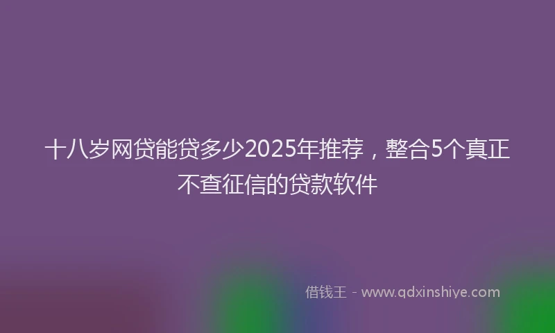 十八岁网贷能贷多少2025年推荐，整合5个真正不查征信的贷款软件