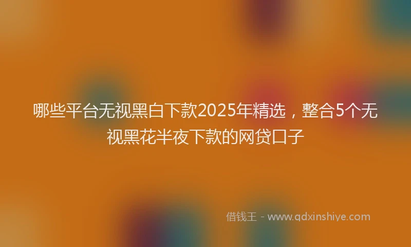 哪些平台无视黑白下款2025年精选，整合5个无视黑花半夜下款的网贷口子