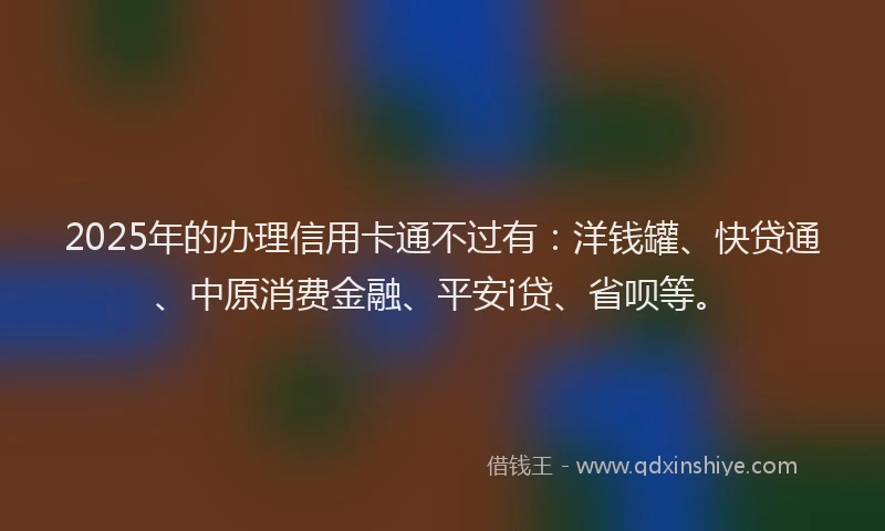 2025年的办理信用卡通不过有：洋钱罐、快贷通、中原消费金融、平安i贷、省呗等。