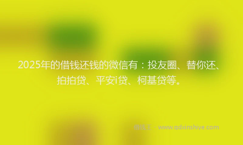 2025年的借钱还钱的微信有：投友圈、替你还、拍拍贷、平安i贷、柯基贷等。