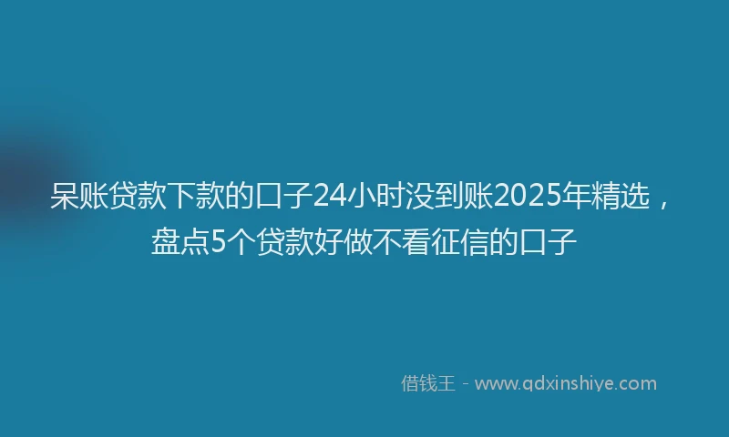 呆账贷款下款的口子24小时没到账2025年精选，盘点5个贷款好做不看征信的口子