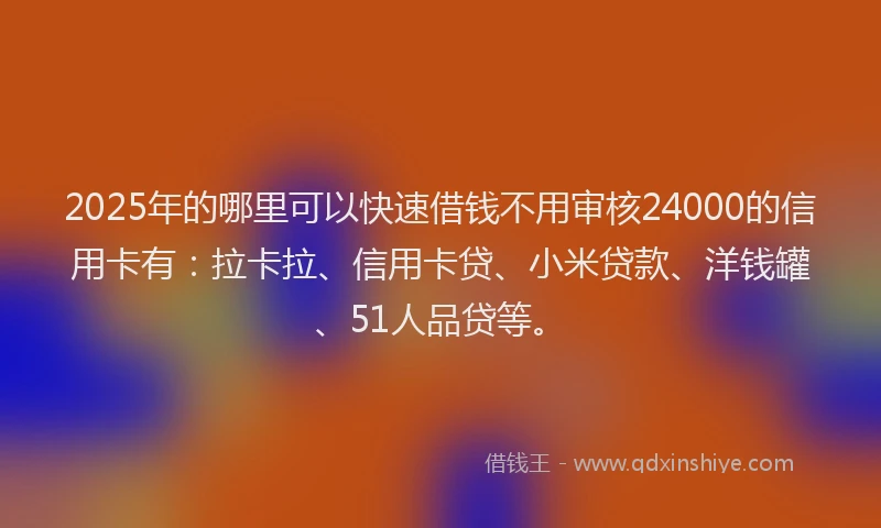 2025年的哪里可以快速借钱不用审核24000的信用卡有：拉卡拉、信用卡贷、小米贷款、洋钱罐、51人品贷等。