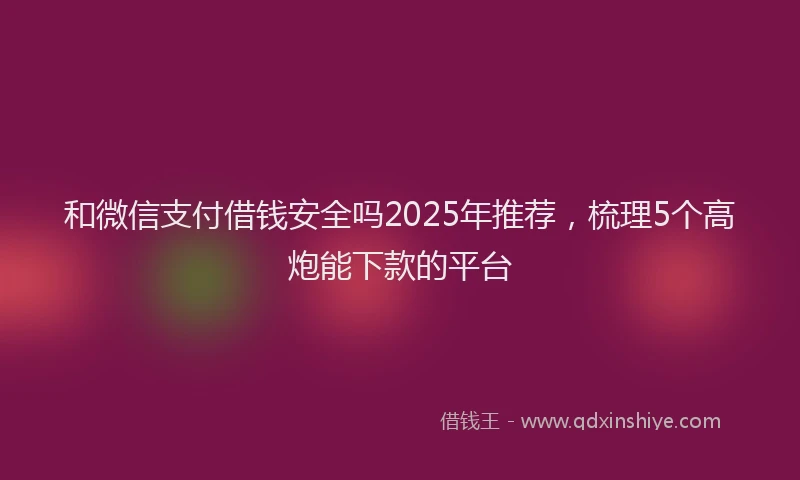 和微信支付借钱安全吗2025年推荐，梳理5个高炮能下款的平台