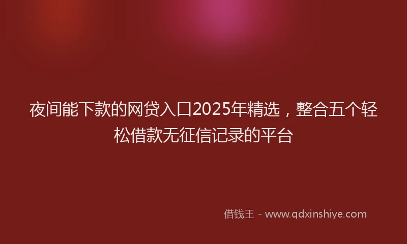 夜间能下款的网贷入口2025年精选，整合五个轻松借款无征信记录的平台
