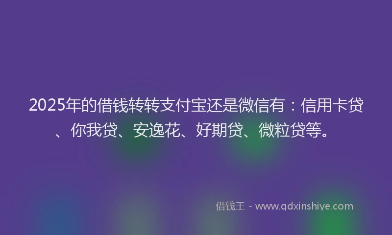2025年的借钱转转支付宝还是微信有：信用卡贷、你我贷、安逸花、好期贷、微粒贷等。