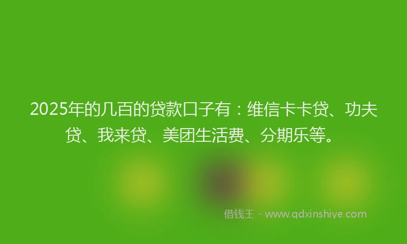 2025年的几百的贷款口子有：维信卡卡贷、功夫贷、我来贷、美团生活费、分期乐等。