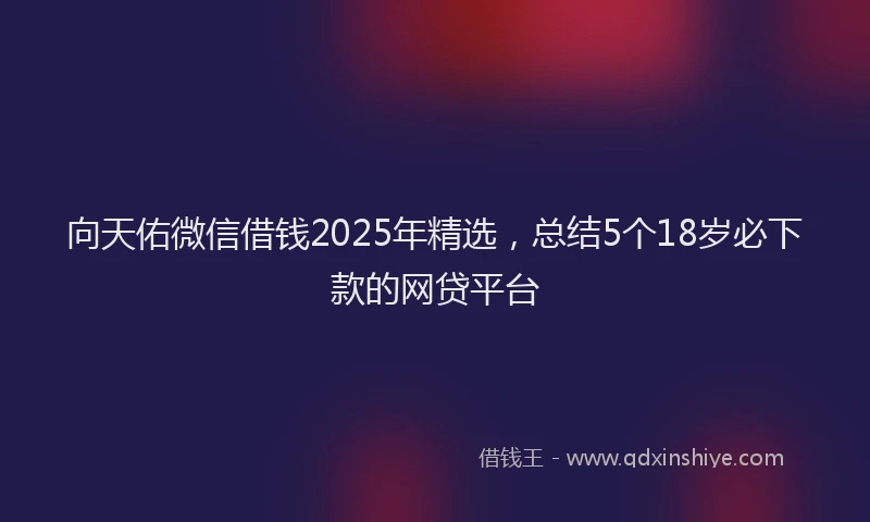 向天佑微信借钱2025年精选，总结5个18岁必下款的网贷平台