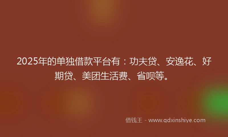 2025年的单独借款平台有：功夫贷、安逸花、好期贷、美团生活费、省呗等。