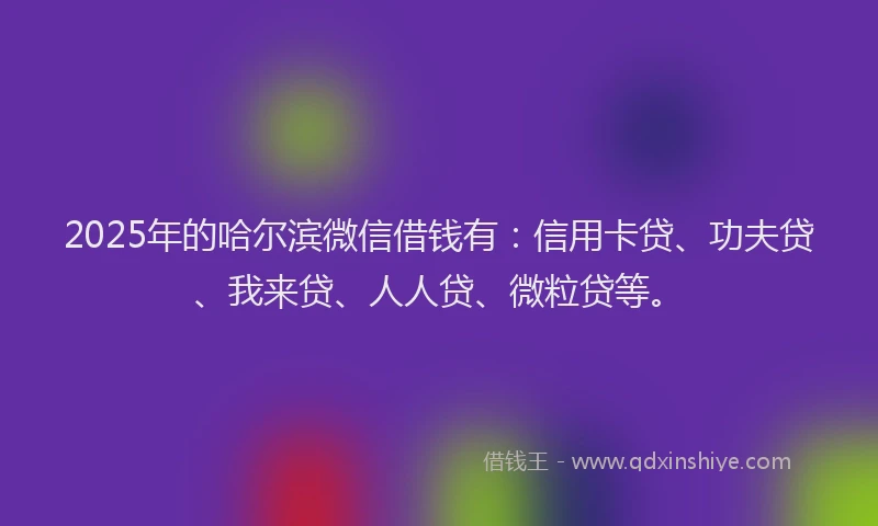 2025年的哈尔滨微信借钱有：信用卡贷、功夫贷、我来贷、人人贷、微粒贷等。