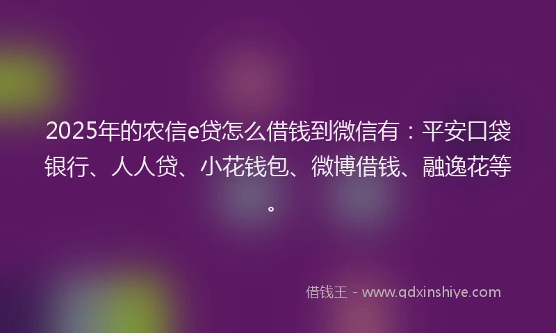2025年的农信e贷怎么借钱到微信有：平安口袋银行、人人贷、小花钱包、微博借钱、融逸花等。