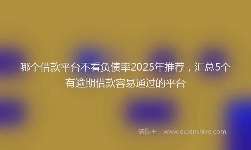 哪个借款平台不看负债率2025年推荐，汇总5个有逾期借款容易通过的平台