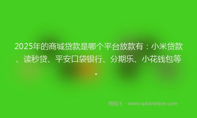 2025年的商城贷款是哪个平台放款有：小米贷款、读秒贷、平安口袋银行、分期乐、小花钱包等。