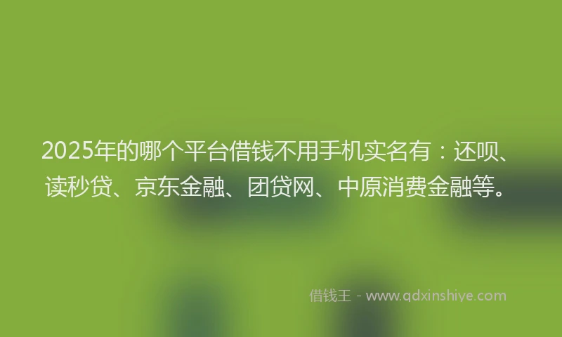 2025年的哪个平台借钱不用手机实名有：还呗、读秒贷、京东金融、团贷网、中原消费金融等。