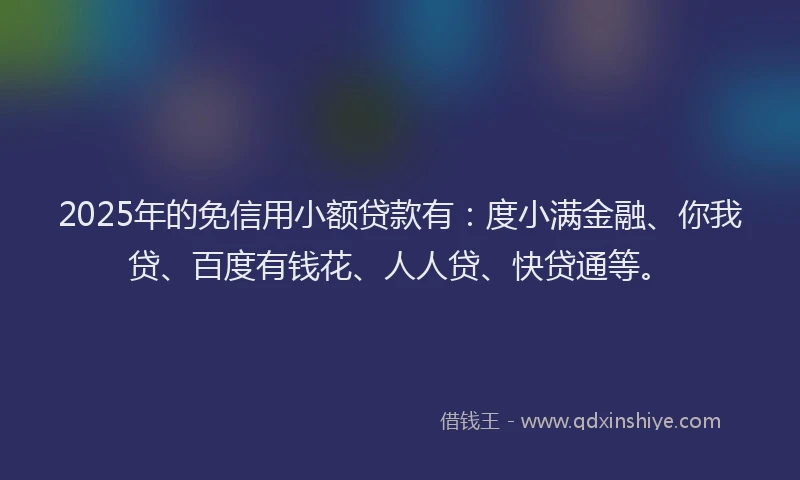 2025年的免信用小额贷款有：度小满金融、你我贷、百度有钱花、人人贷、快贷通等。