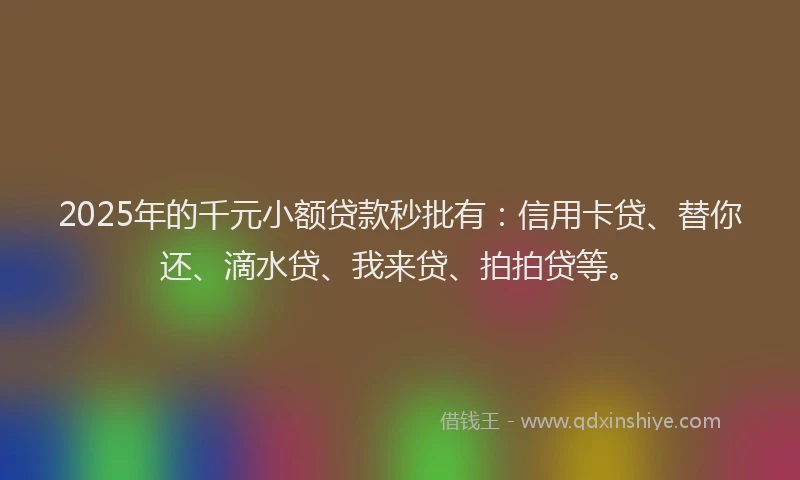 2025年的千元小额贷款秒批有：信用卡贷、替你还、滴水贷、我来贷、拍拍贷等。