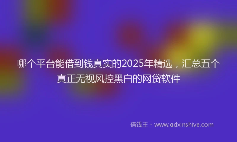 哪个平台能借到钱真实的2025年精选，汇总五个真正无视风控黑白的网贷软件
