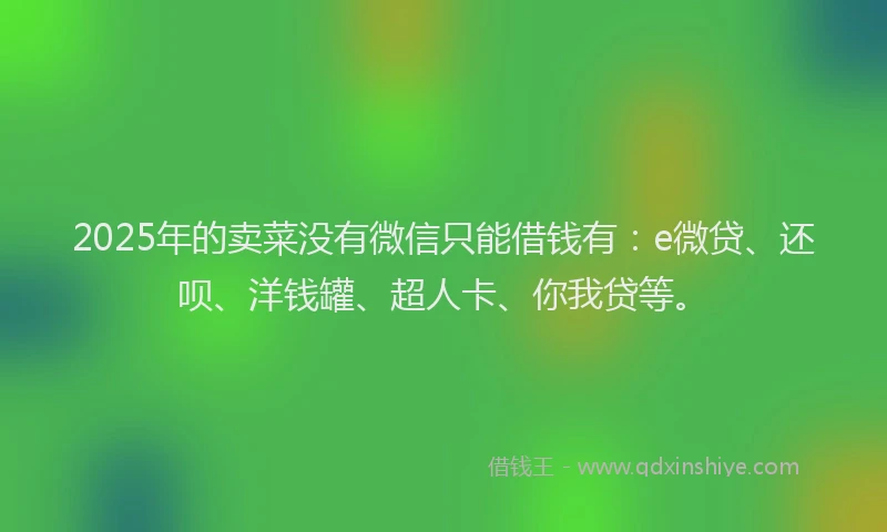 2025年的卖菜没有微信只能借钱有：e微贷、还呗、洋钱罐、超人卡、你我贷等。