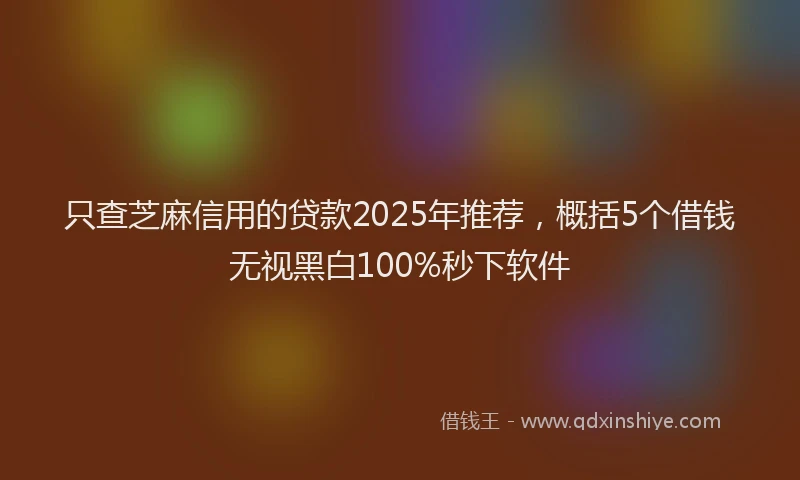 只查芝麻信用的贷款2025年推荐，概括5个借钱无视黑白100%秒下软件