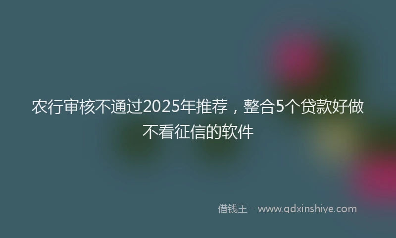 农行审核不通过2025年推荐，整合5个贷款好做不看征信的软件
