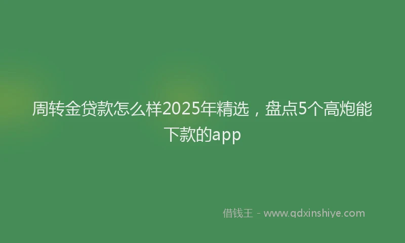 周转金贷款怎么样2025年精选，盘点5个高炮能下款的app