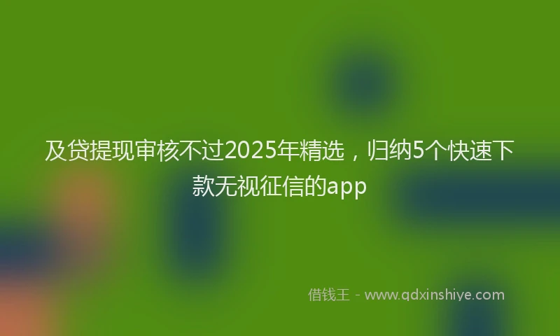 及贷提现审核不过2025年精选，归纳5个快速下款无视征信的app