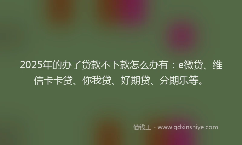 2025年的办了贷款不下款怎么办有：e微贷、维信卡卡贷、你我贷、好期贷、分期乐等。