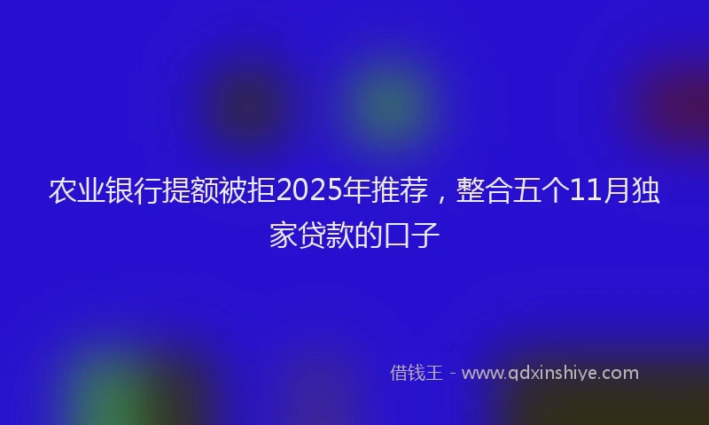 农业银行提额被拒2025年推荐，整合五个11月独家贷款的口子