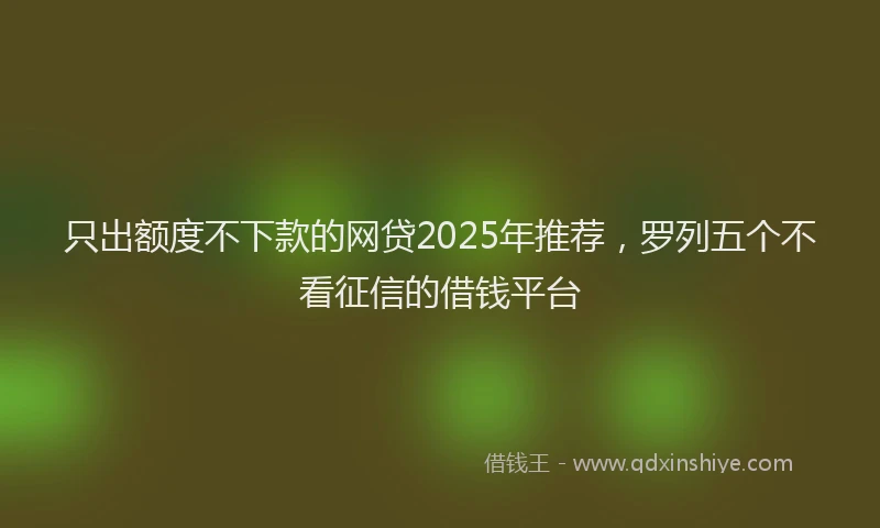 只出额度不下款的网贷2025年推荐，罗列五个不看征信的借钱平台