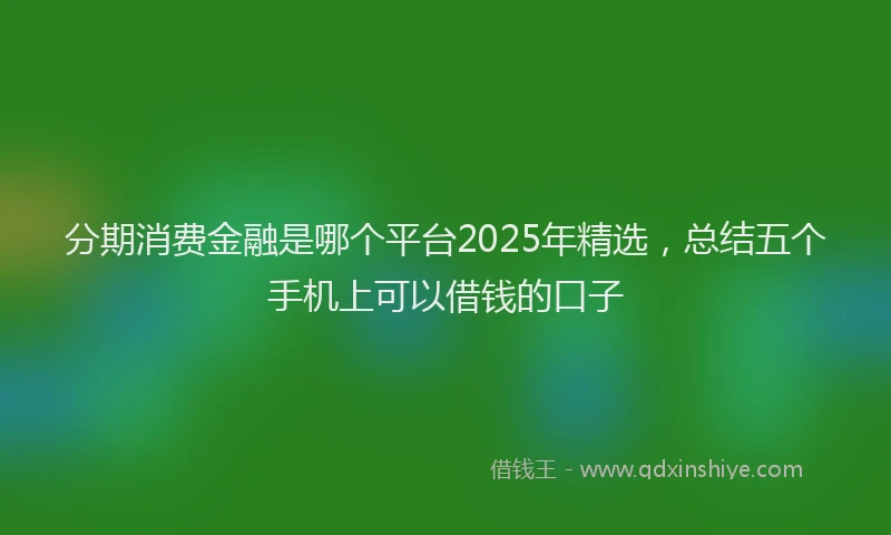 分期消费金融是哪个平台2025年精选，总结五个手机上可以借钱的口子