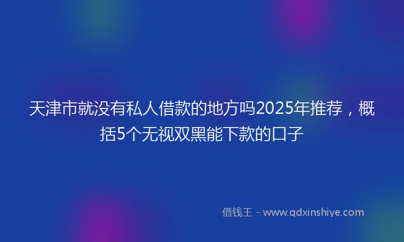 天津市就没有私人借款的地方吗2025年推荐，概括5个无视双黑能下款的口子