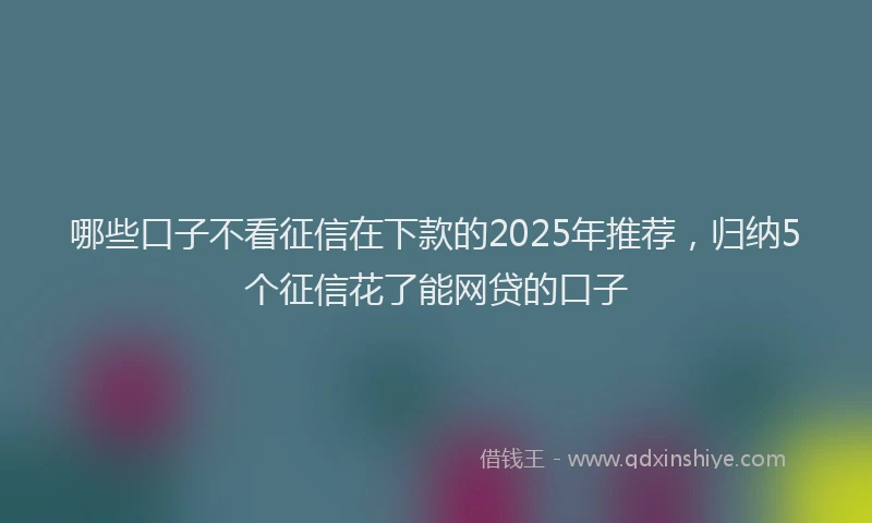 哪些口子不看征信在下款的2025年推荐，归纳5个征信花了能网贷的口子